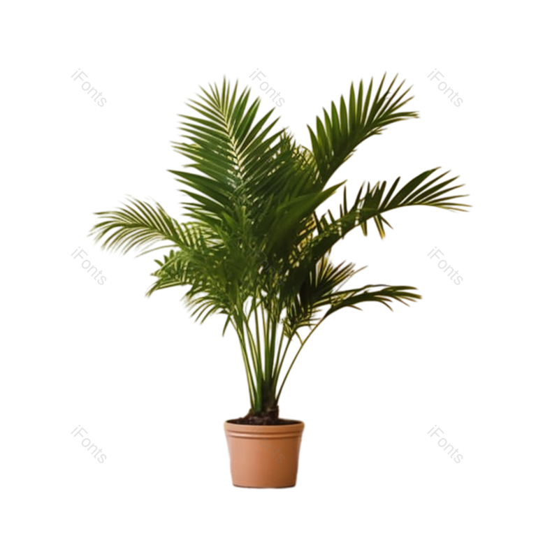 装饰图片,摄影元素,房屋PNG,植物免抠素材